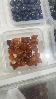 گنج پنهان در دل طبیعت